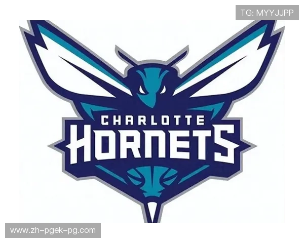 NBA火箭队标志的设计与背后意义 NBA火箭队标志的设计与背后意义