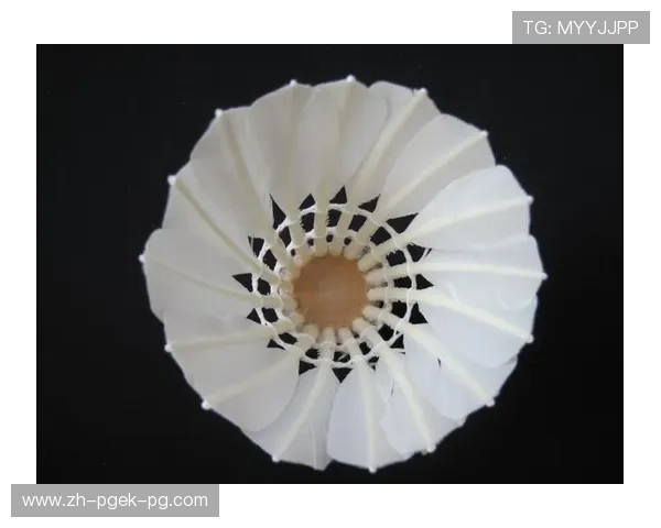 羽毛球球头毛片分类