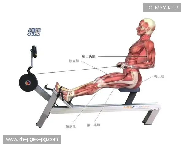 胸部下方专用健身器材及体育锻炼技巧解析